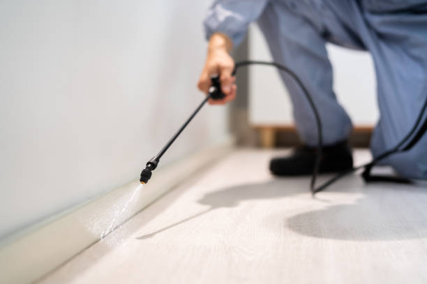 Licensed Mosquito Control service in Roseville, MN - Show Me Pest Control