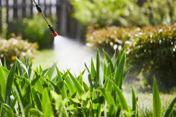 24/7 Emergency Mosquito Control experts in Roseville, MN