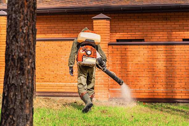 Top rated local Mosquito Control specialists in Roseville, MN